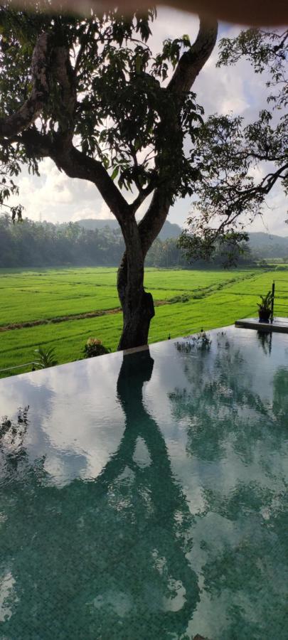 Villa Seven Faces-Luxury Escape,Stunning Views With Private Pool For A Couple Or Family! Galle Extérieur photo